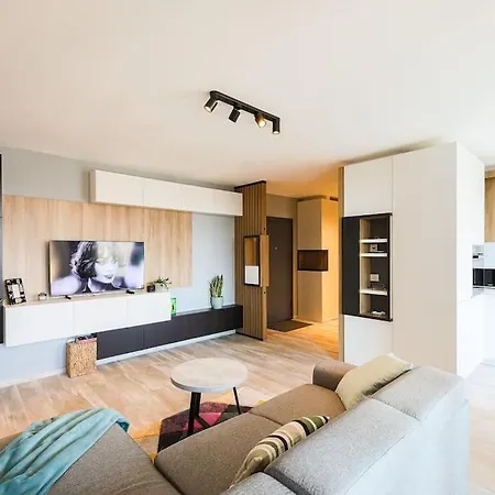 公寓 Luxury Apt. Near River & Parking 蒂米什瓦拉