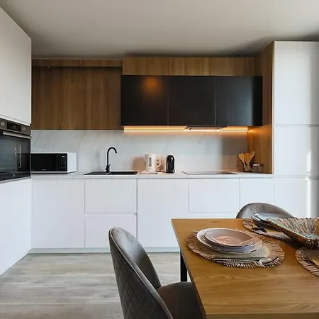 Luxury Apt. Near River & Parking * 蒂米什瓦拉