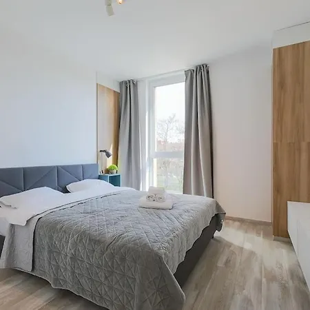 Luxury Apt. Near River & Parking 蒂米什瓦拉