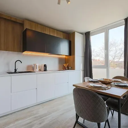 Luxury Apt. Near River & Parking Timișoara