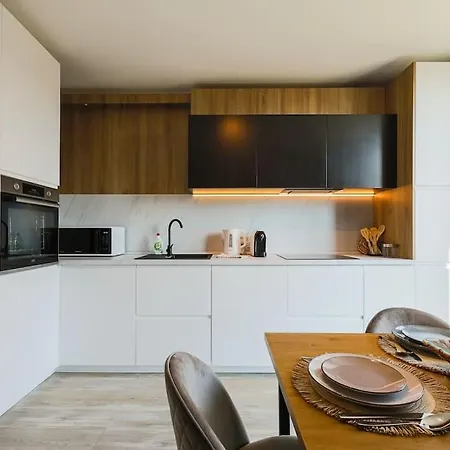 公寓 Luxury Apt. Near River & Parking 蒂米什瓦拉