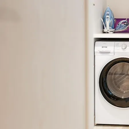 شقة Luxury Apt. Near River & Parking تيميشورا