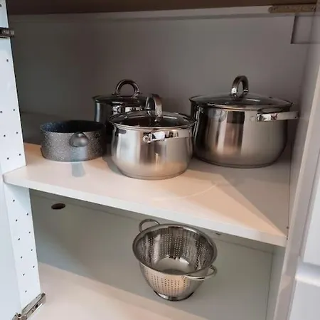 Luxury Apt. Near River & Parking 公寓 蒂米什瓦拉