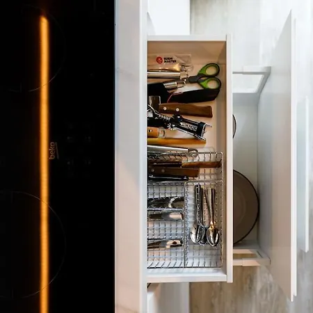 Luxury Apt. Near River & Parking Timișoara