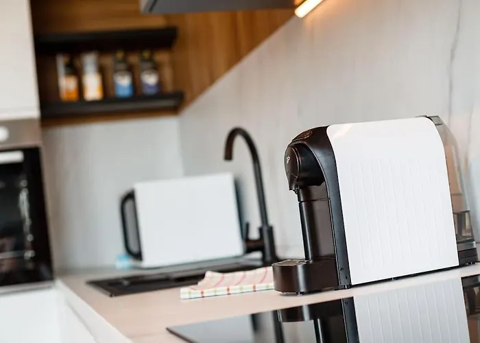 Appartement Luxury Apt. Near River & Parking Timişoara