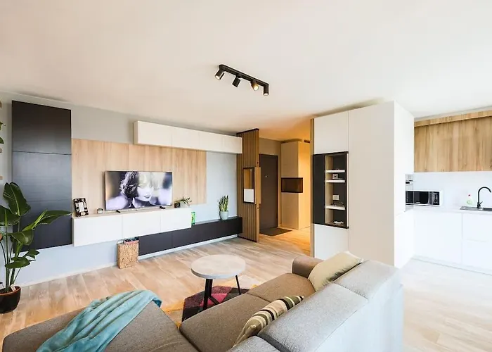 Apartment Luxury Apt. Near River & Parking Timişoara