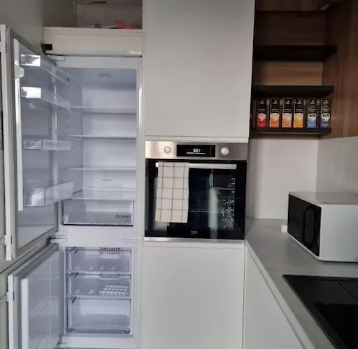 Luxury Apt. Near River & Parking Timişoara