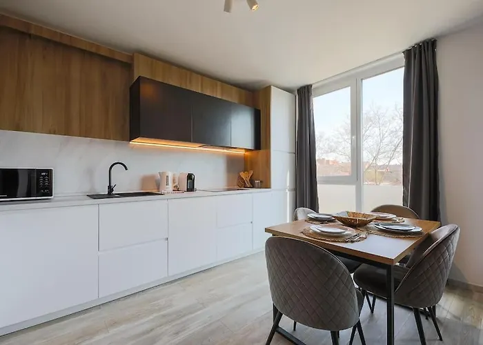 Luxury Apt. Near River & Parking Timişoara