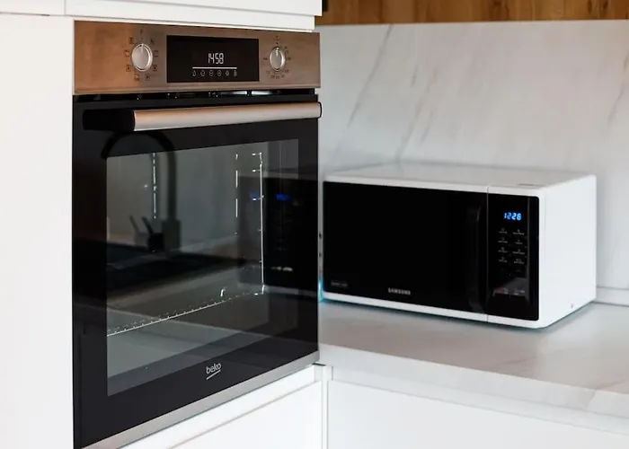 Luxury Apt. Near River & Parking Apartment Timişoara