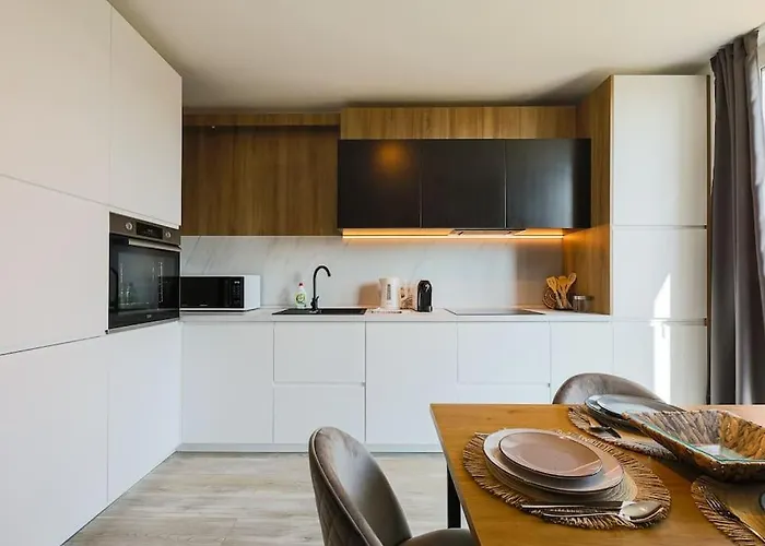 Apartment Luxury Apt. Near River & Parking Timişoara